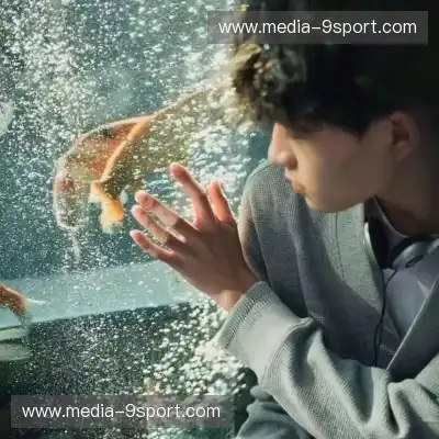 龙禹珑